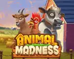 Animal Madness
